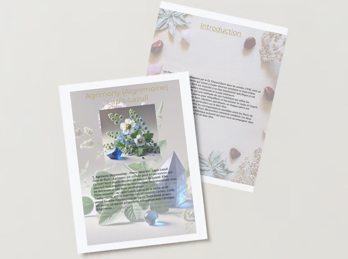 BUNDLE - Ebooks combo Shirin Yoku et Lithothérapie + Fleurs de Bach et Lithothérapie🌺🍃