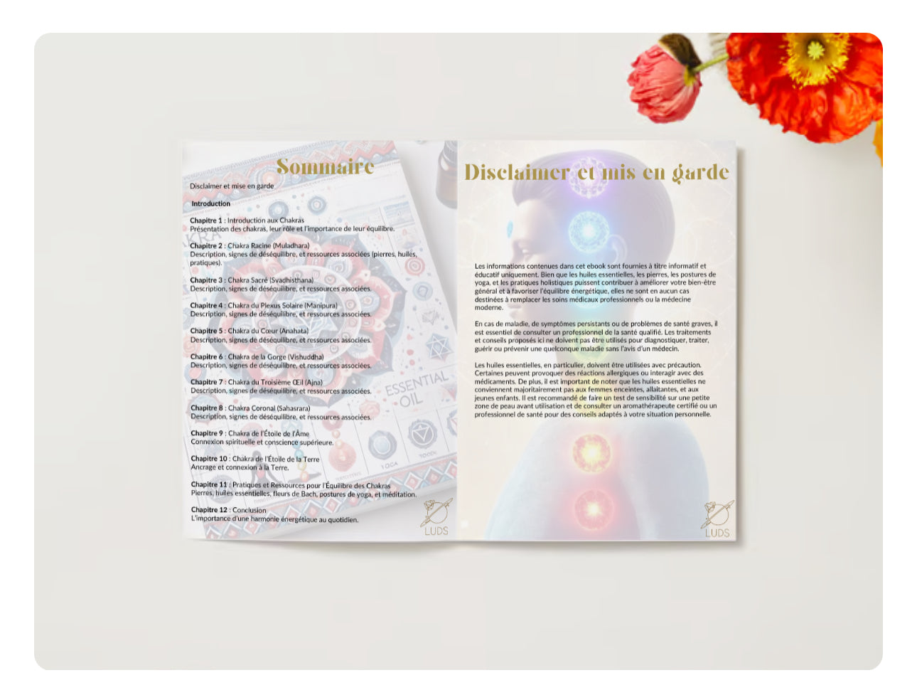 EBOOK - ton guide intitiatique à travers les Chakras et la lithothérapie