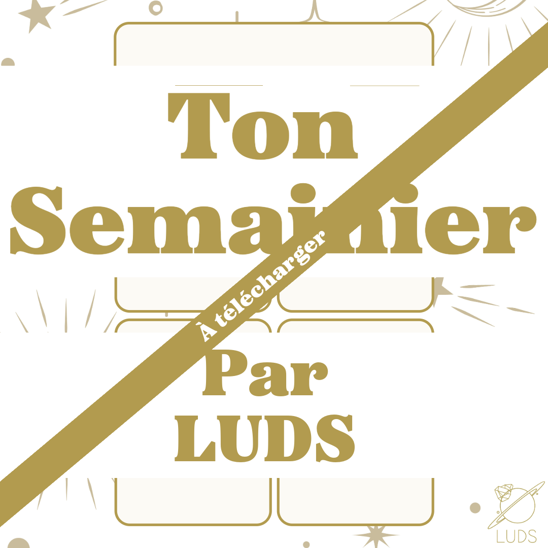 LUDS promo bundle : LIVRE + SEMAINIER !
