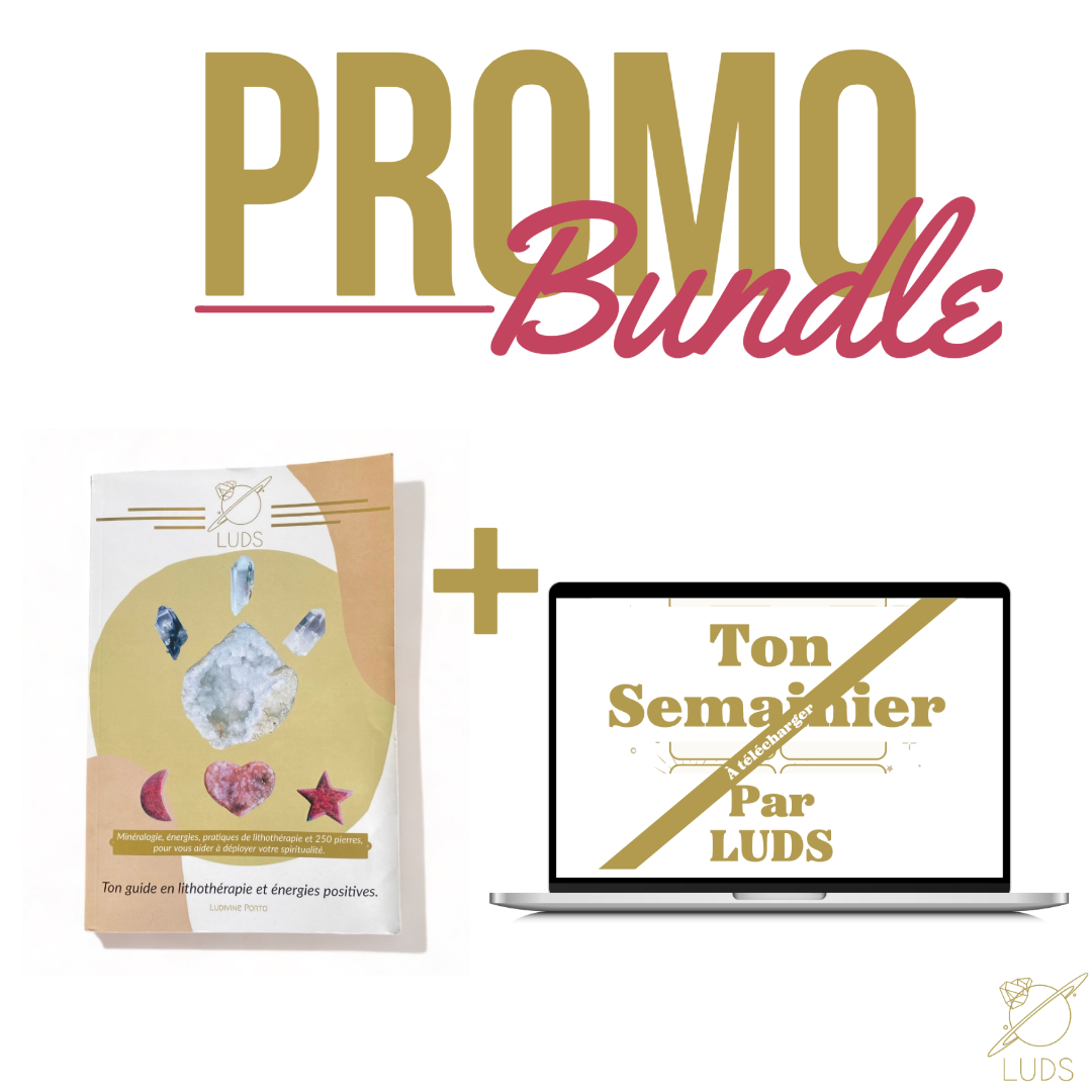 LUDS promo bundle : LIVRE + SEMAINIER !