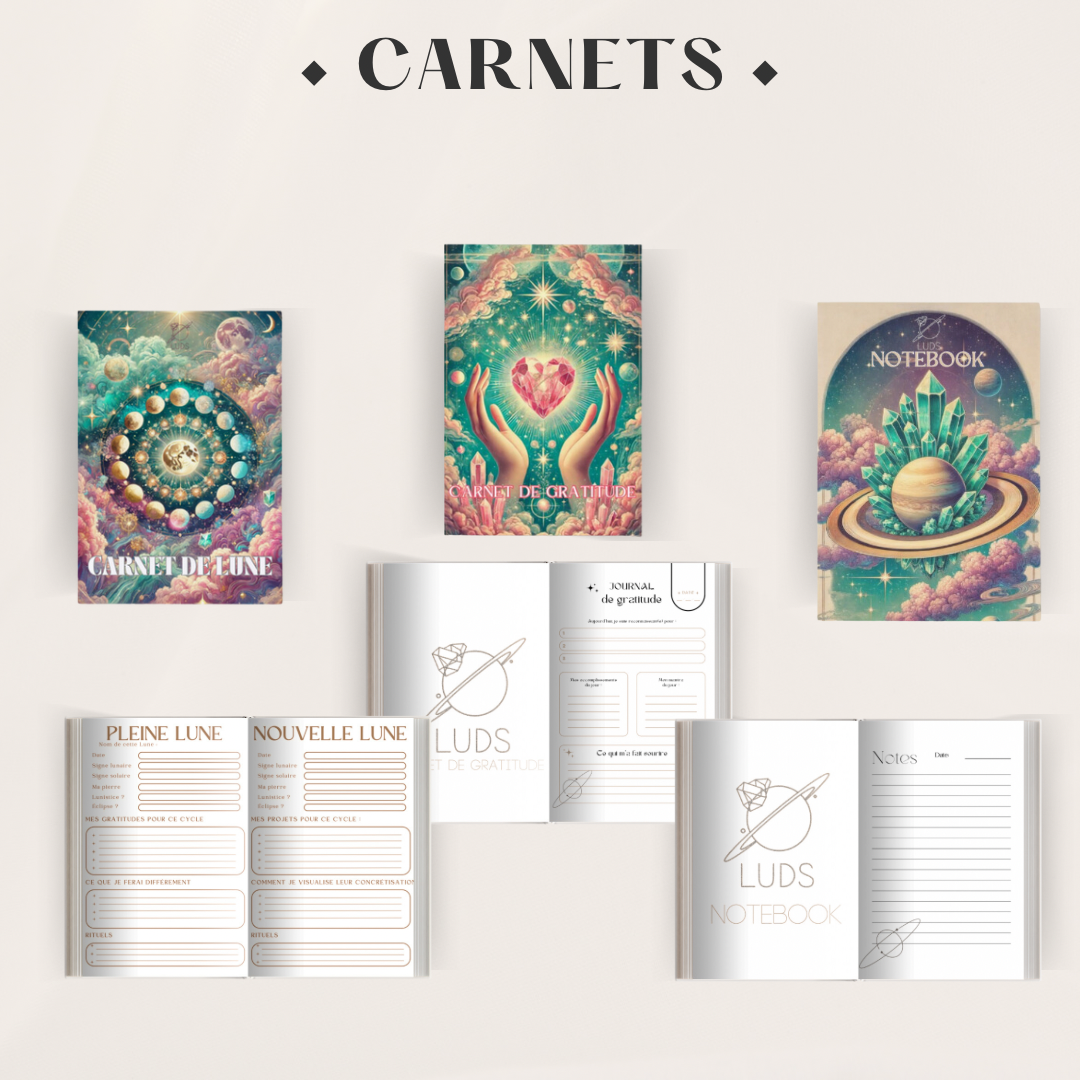 Carnets LUDS