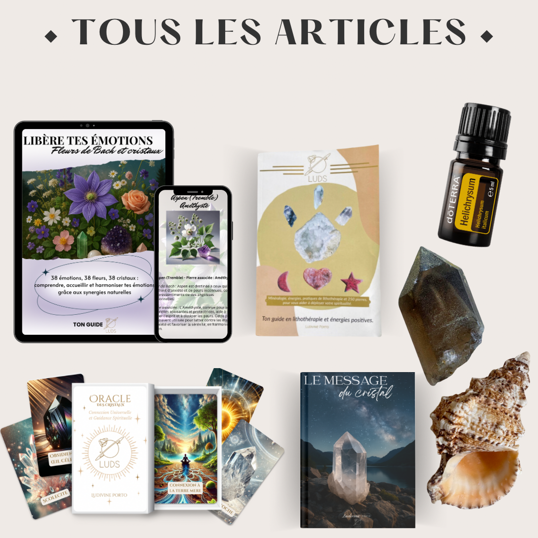 Tous les articles