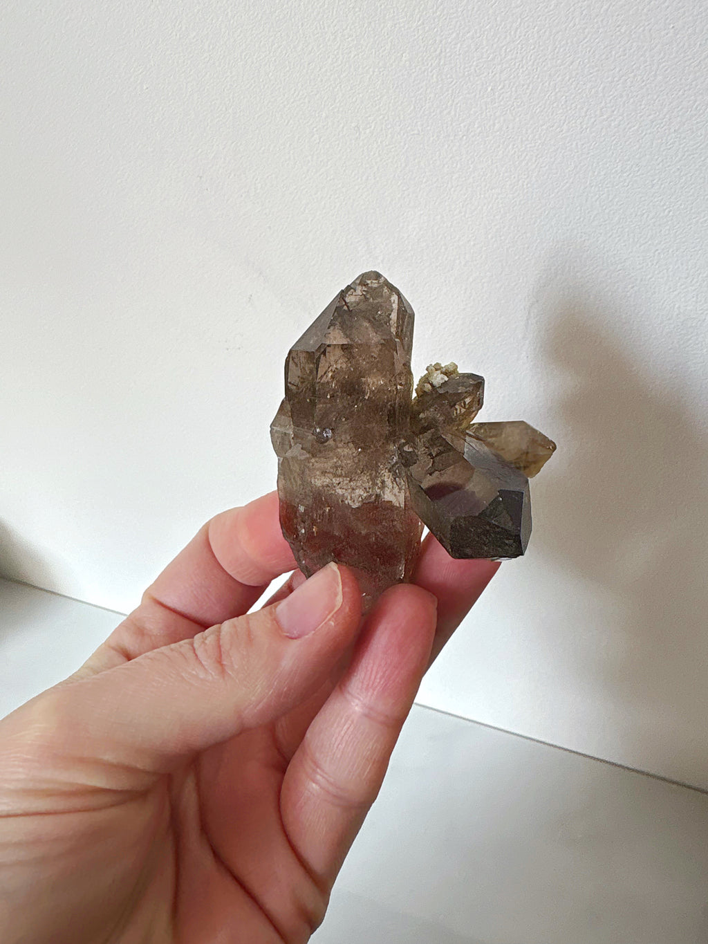 Maxi et normaux : Quartz fumé 4 - origine FRANCE