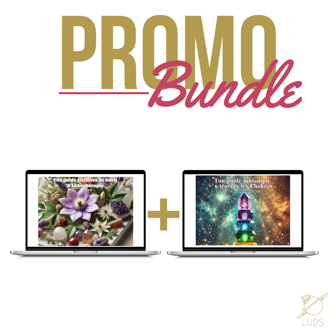 BUNDLE - Ebooks combo : Fleurs de Bach et Lithothérapie + Chakras et Lithothérapie 🌺☸️