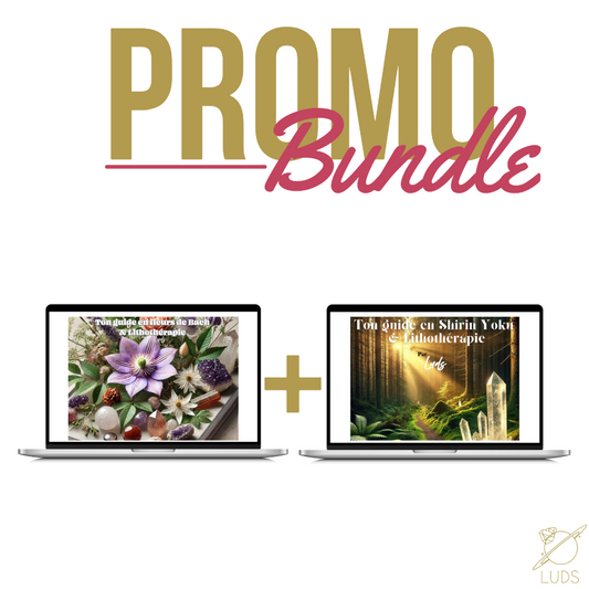 BUNDLE - Ebooks combo 🌺🍃