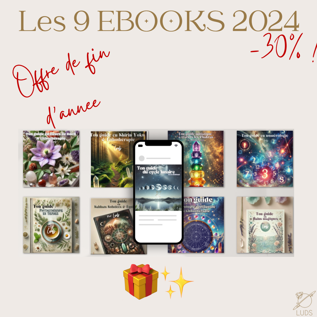 BUNDLE fin d’année 2024 - Tous les Ebooks 2024 🎁🎄-30%