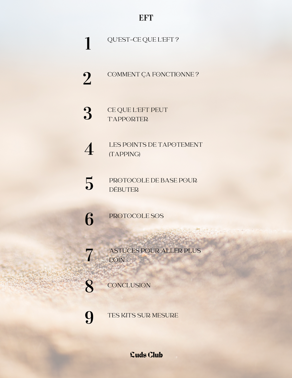 EBOOK - LUDS CLUB édition - ton guide en EFT