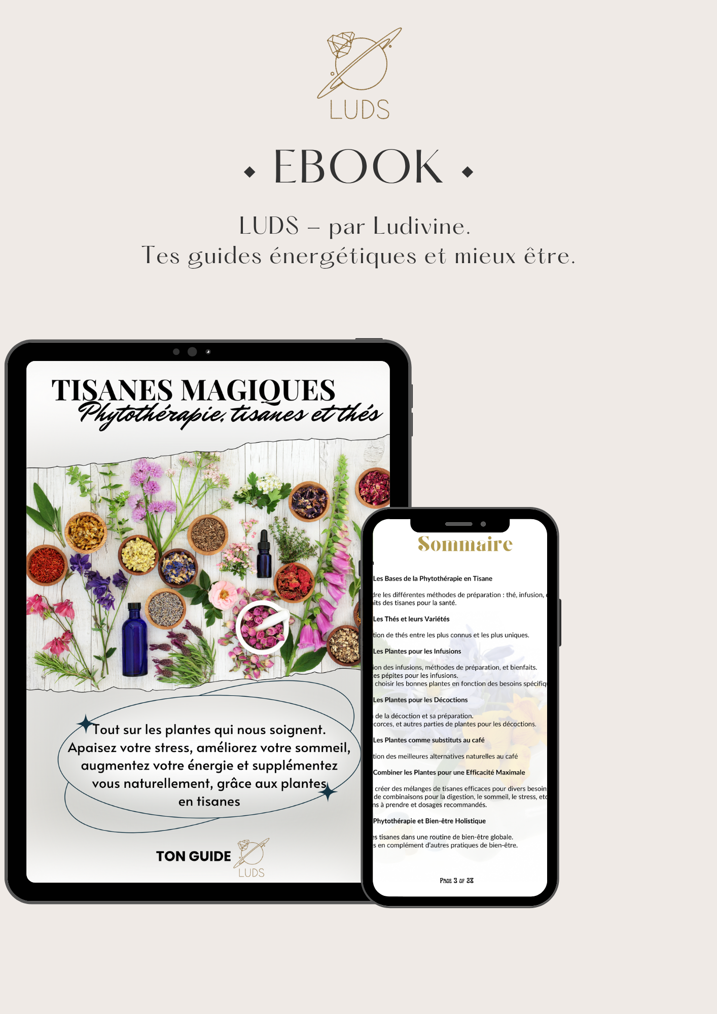 EBOOK - ton guide : Phytothérapie en tisanes