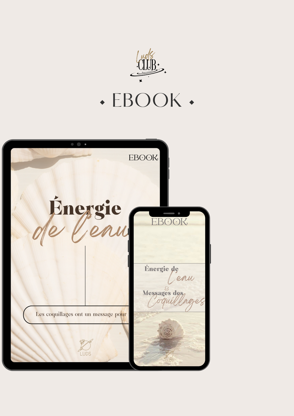 Ebook - Énergie de l’eau et messages des coquillages