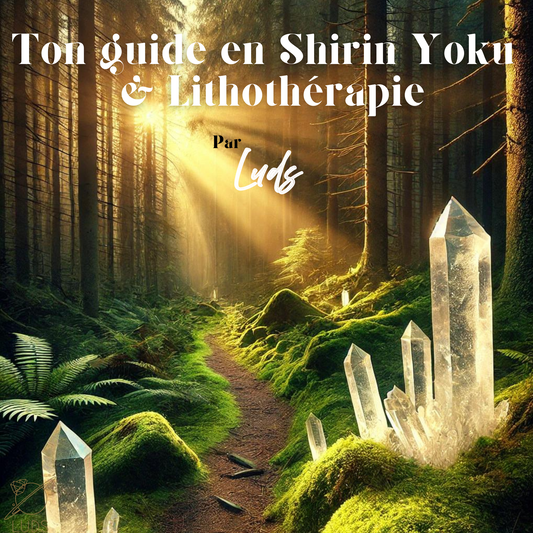 EBOOK - ton guide en Shirin-Yoku et lithothérapie