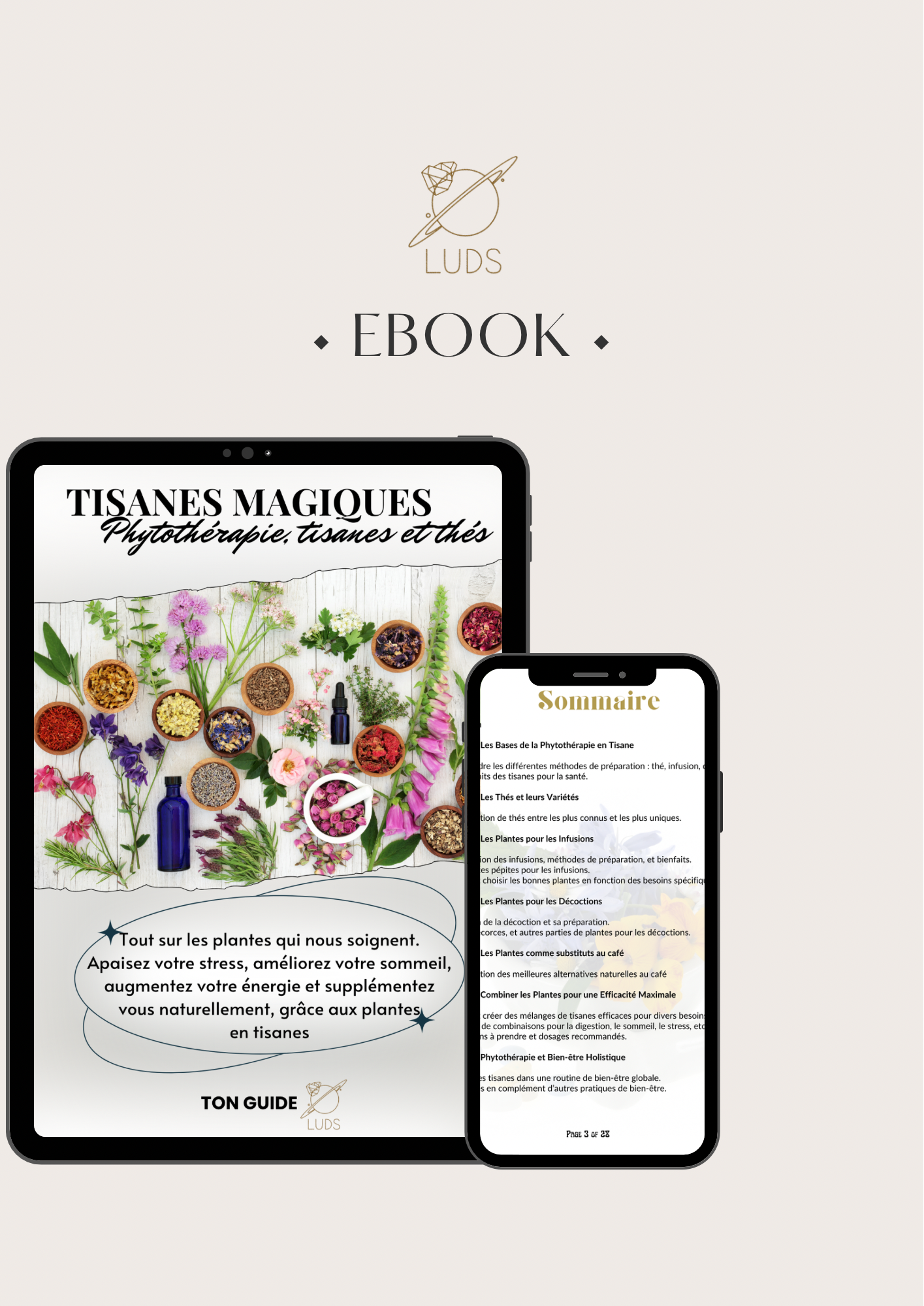 EBOOK - ton guide : Phytothérapie en tisanes