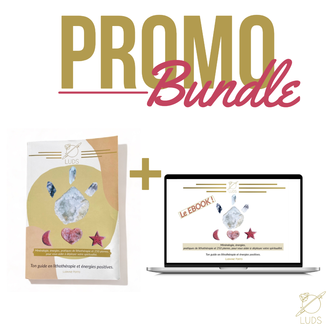 LUDS promo bundle : LIVRE + EBOOK !