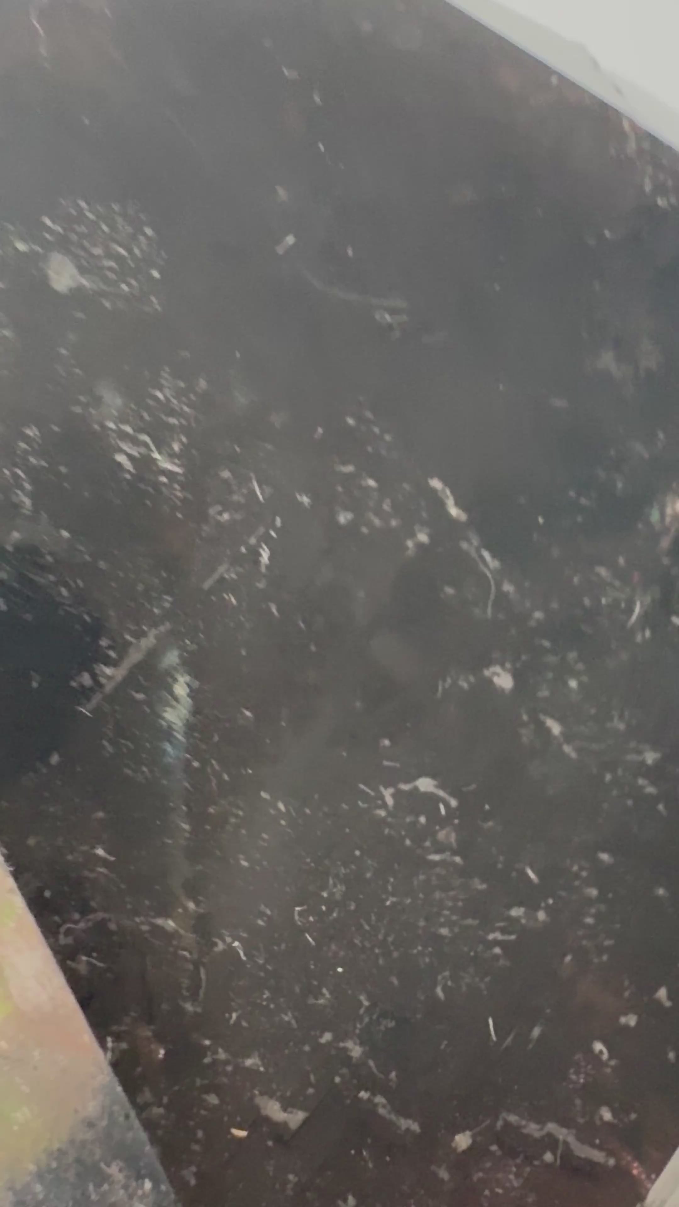 Quartz fumé Morion ! - origine FRANCE